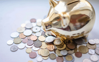 How to Protect Your Pension Scheme with Professional Trustee Services